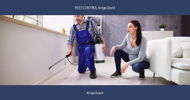 PEST CONTROL Kings Grant